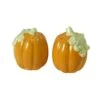 Plymouth Pumpkin Salt And Pepper Set 1 Plymouth Pumpkin Salt And Pepper Set -Kitchen Supplies Store plymouth pumpkin salt and pepper set 5102521 1